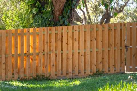 Wooden plank fence in backyard