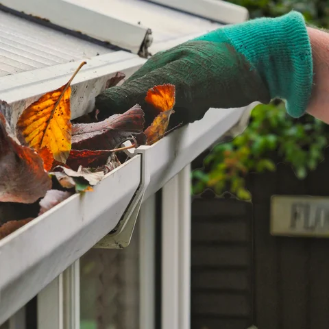 Cleaning gutters leaves